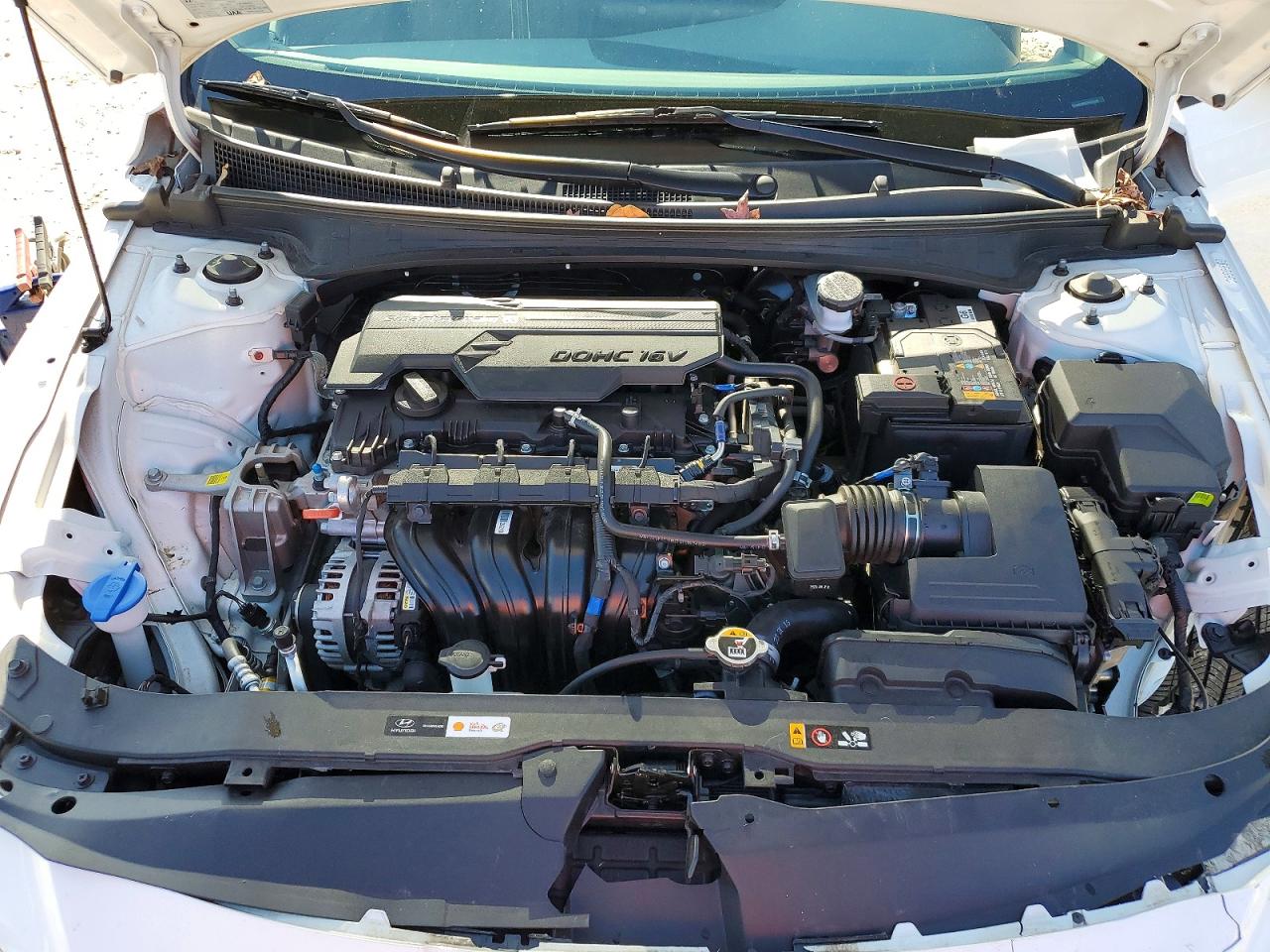 2024 HYUNDAI ELANTRA SEL photo 11
