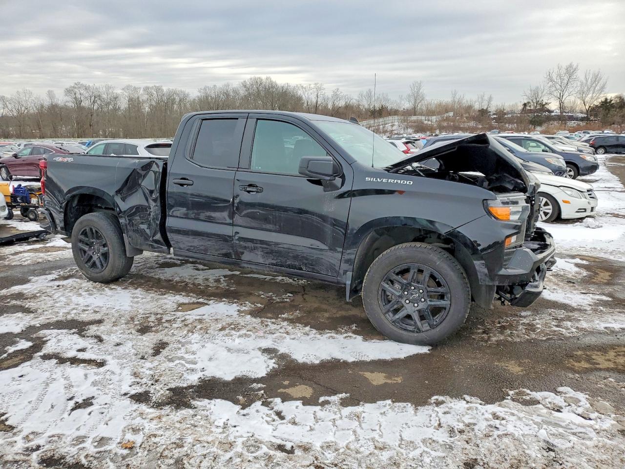 2023 CHEVROLET SILVERADO K1500 CUSTOM photo 4