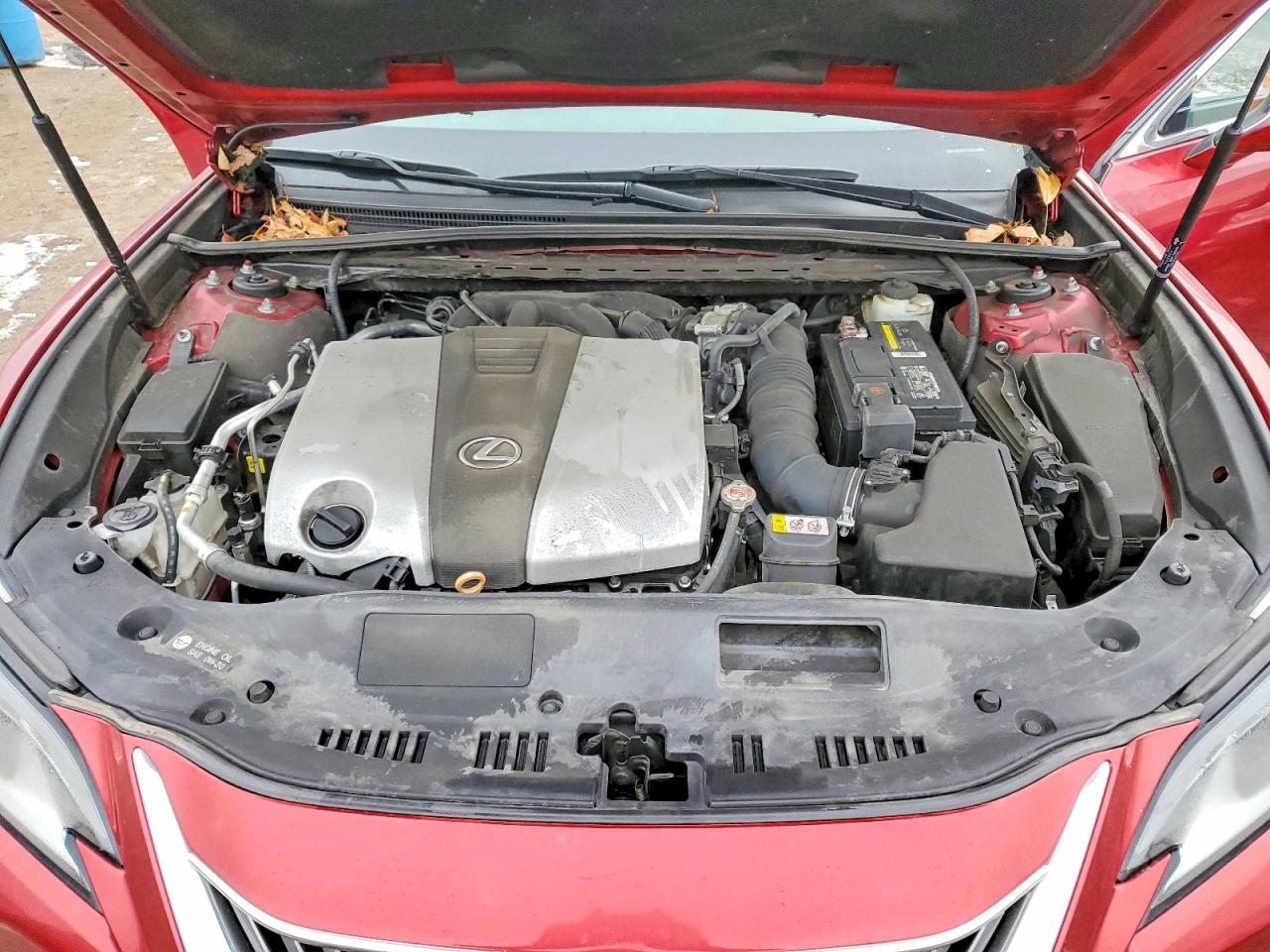 2019 LEXUS ES 350 photo 11