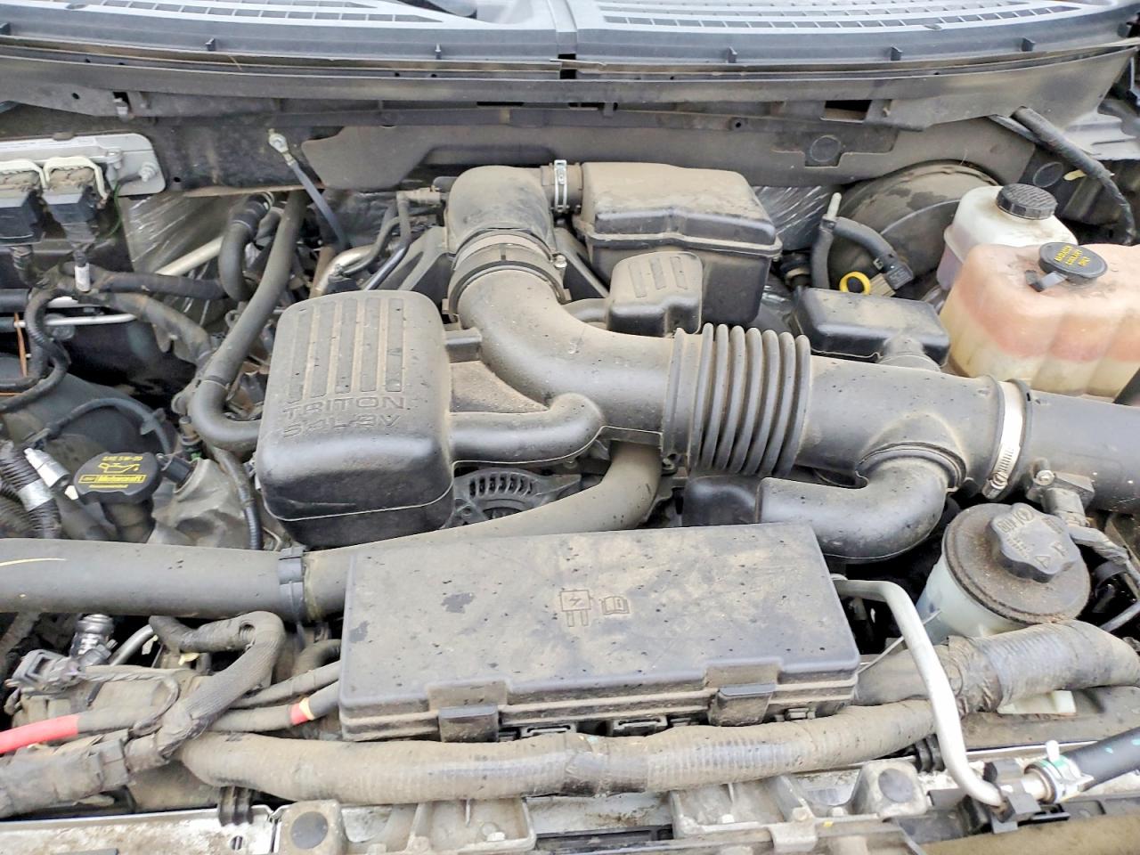 2010 FORD F150 SUPERCREW photo 11