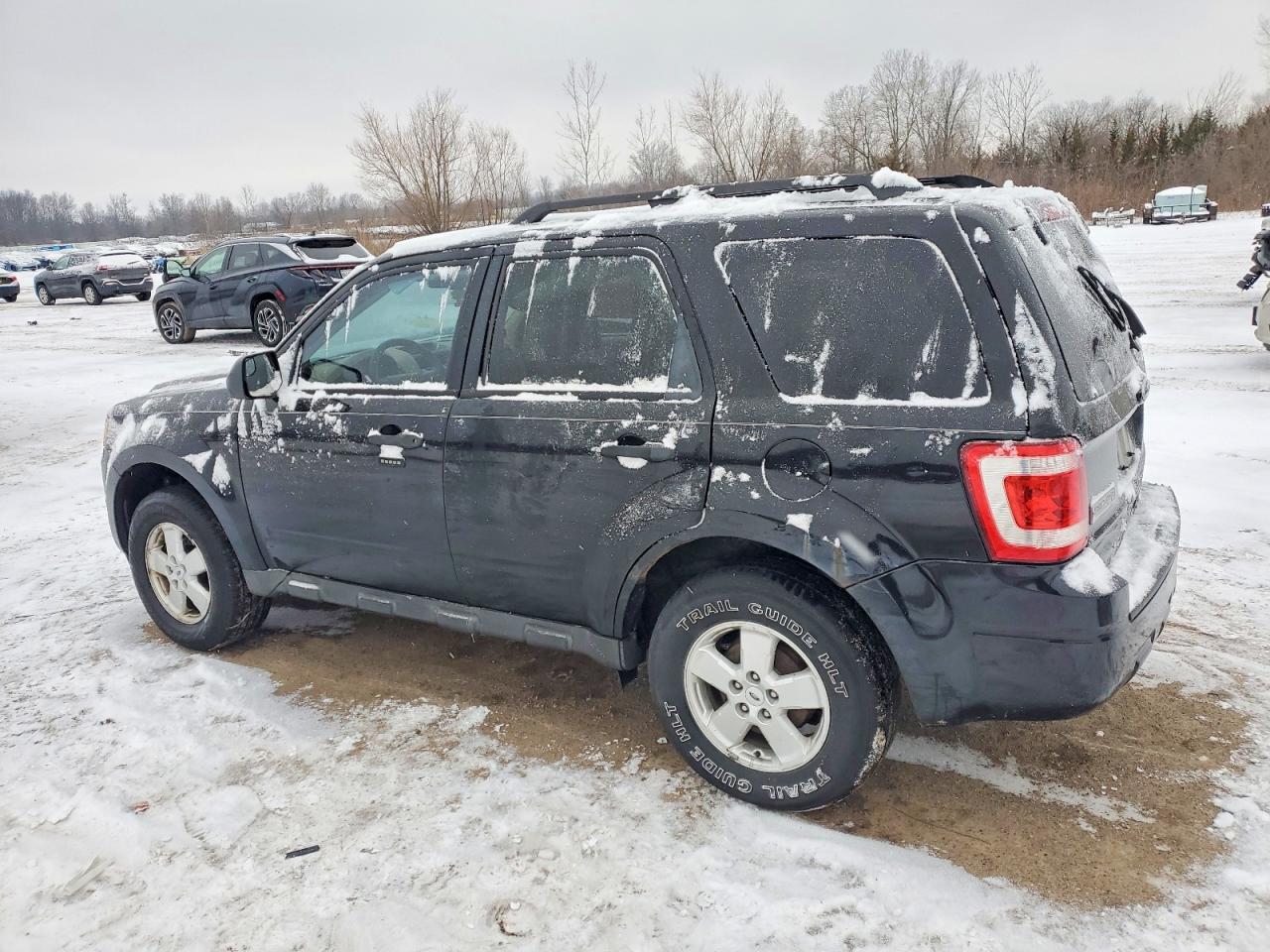 2010 FORD ESCAPE XLT photo 3