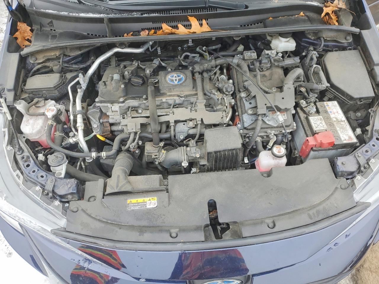 2023 TOYOTA COROLLA LE photo 11