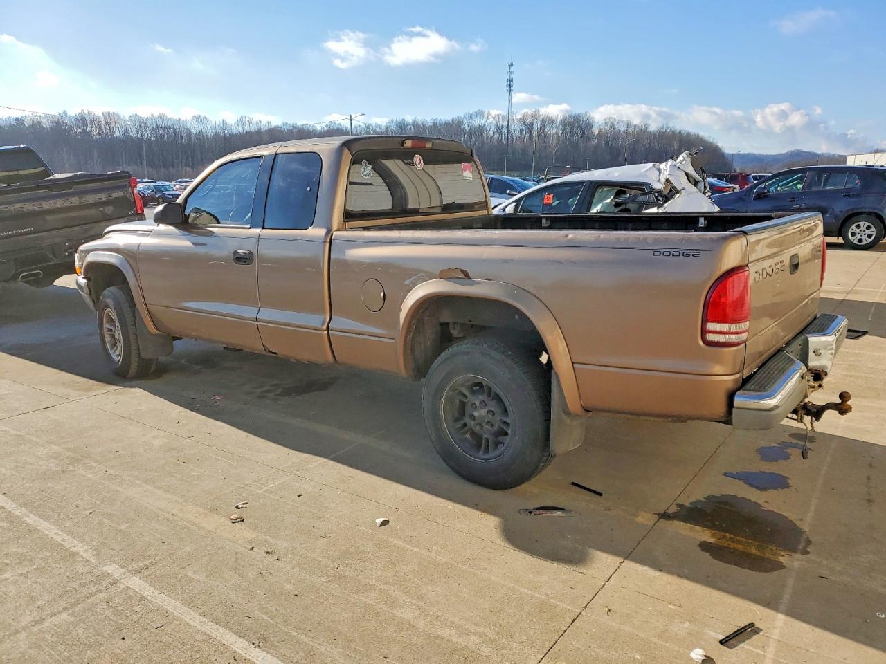 2000 DODGE DAKOTA photo 2