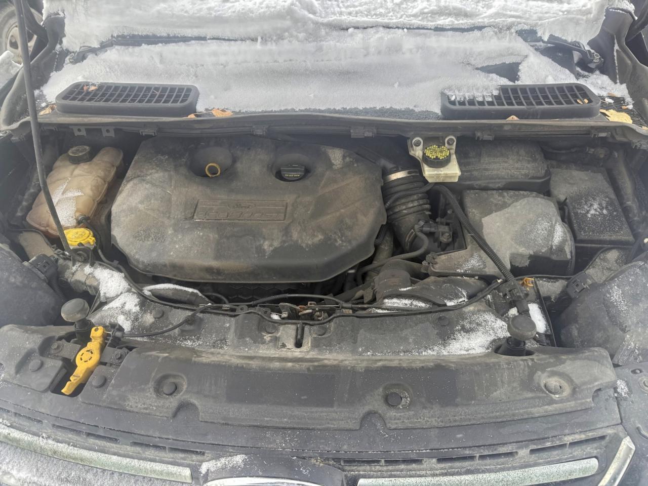 2013 FORD ESCAPE TITANIUM photo 5