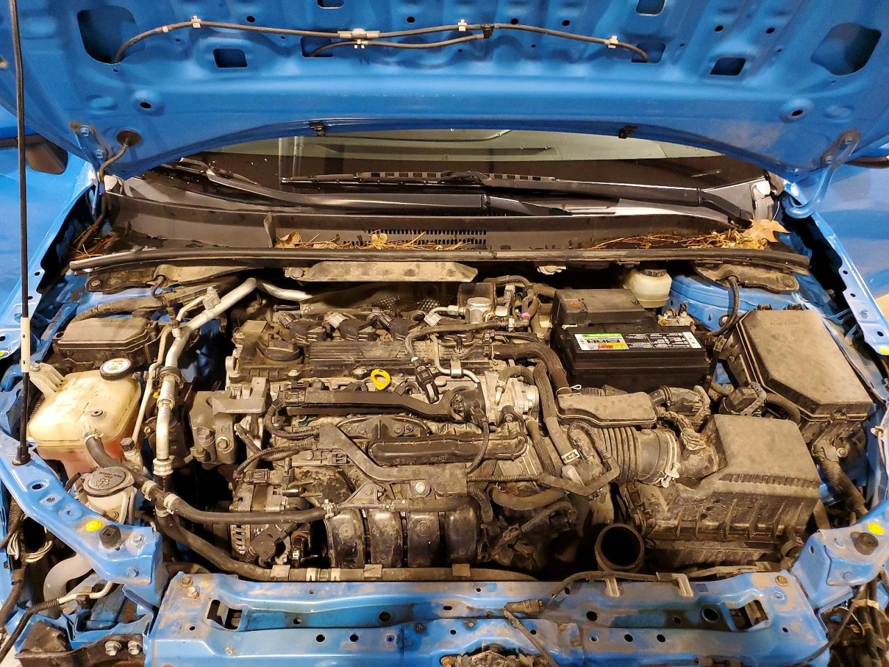 2019 TOYOTA COROLLA SE photo 12
