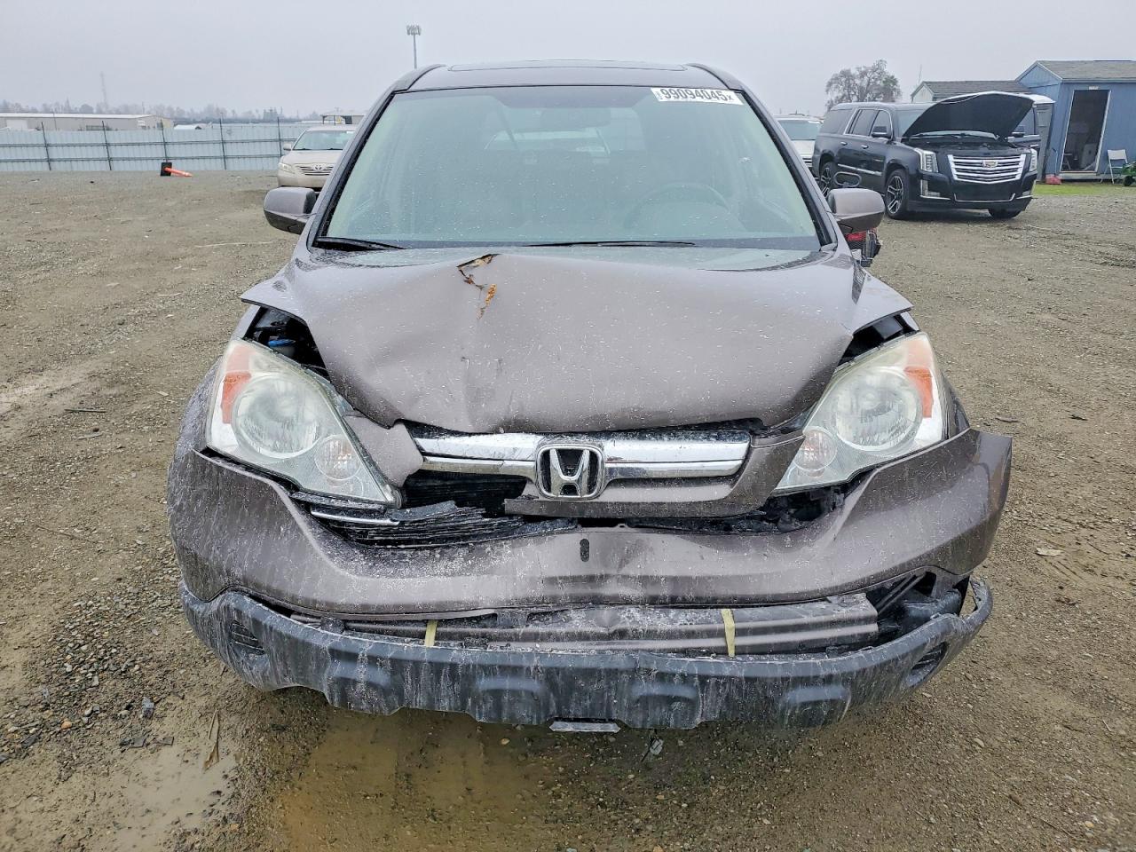 2009 HONDA CR-V EXL photo 5