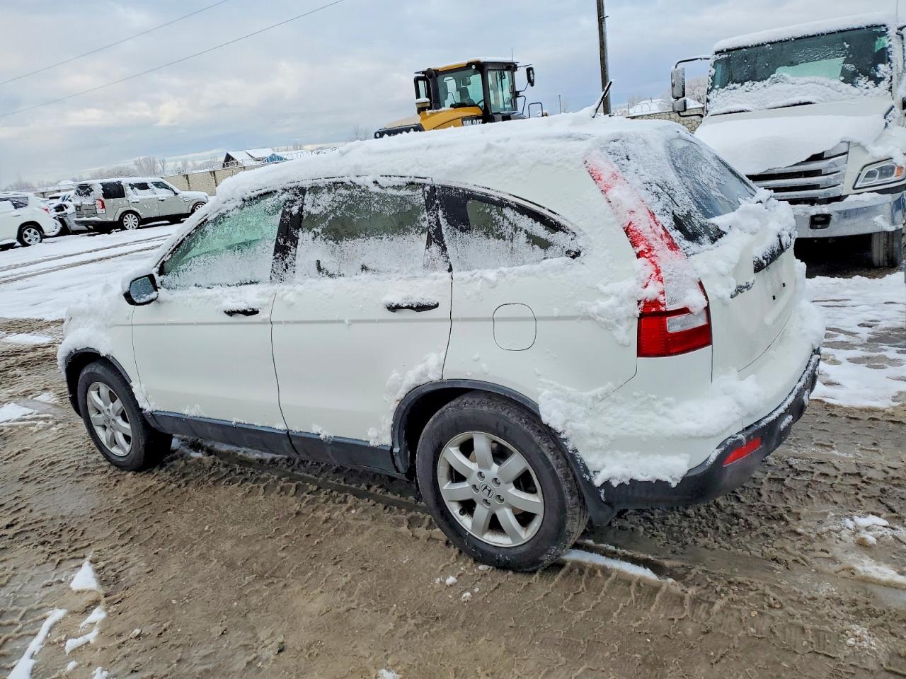 2008 HONDA CR-V LX photo 3