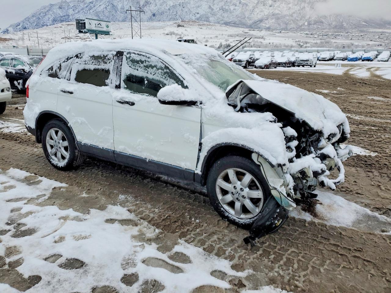 2008 HONDA CR-V LX photo 7