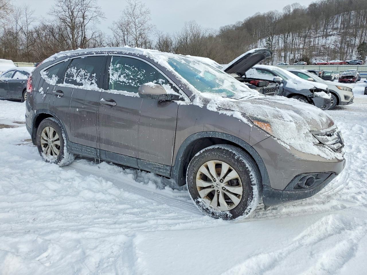 2014 HONDA CR-V EXL photo 4