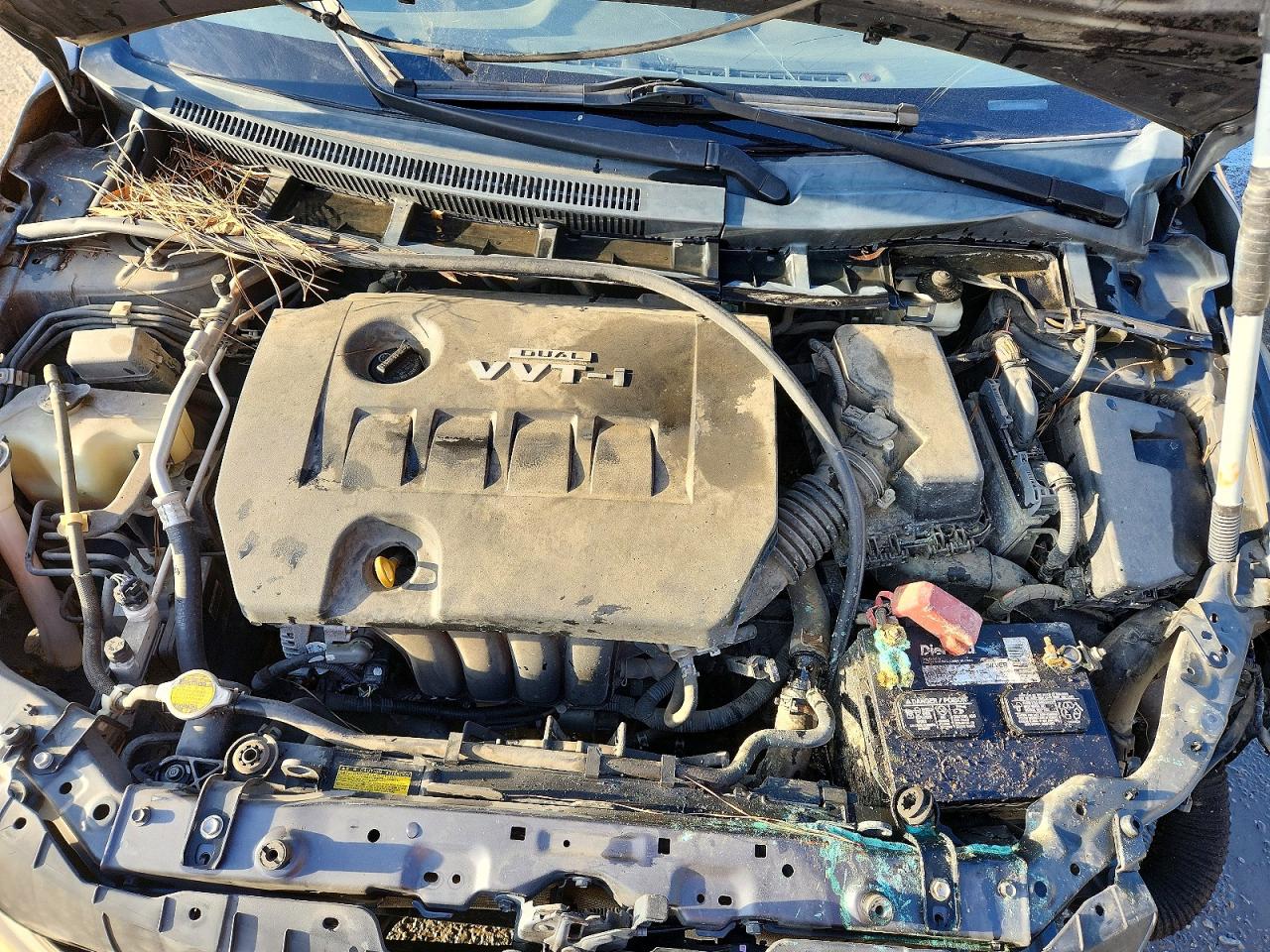 2010 TOYOTA COROLLA BASE photo 11