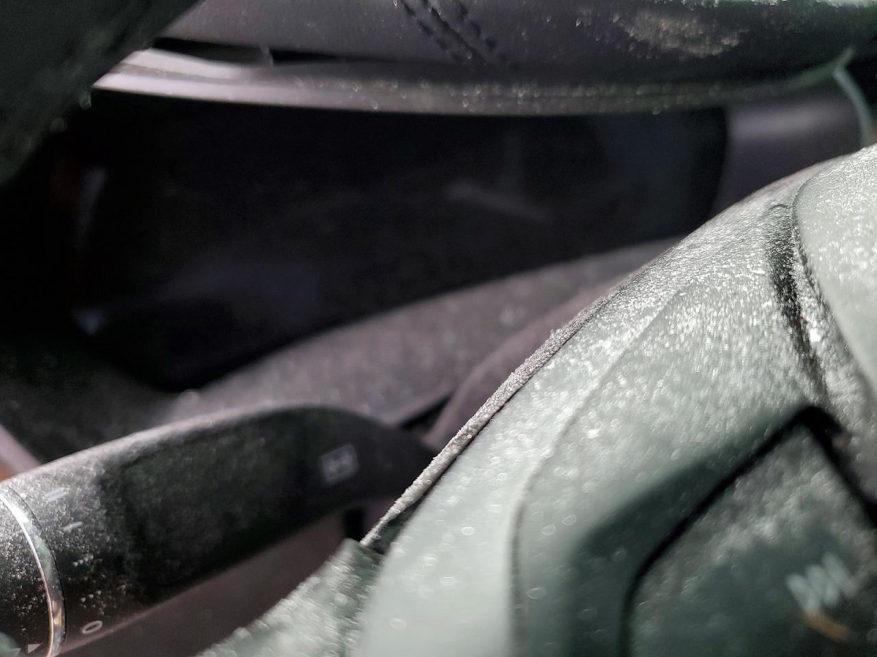 2018 TESLA MODEL X photo 17