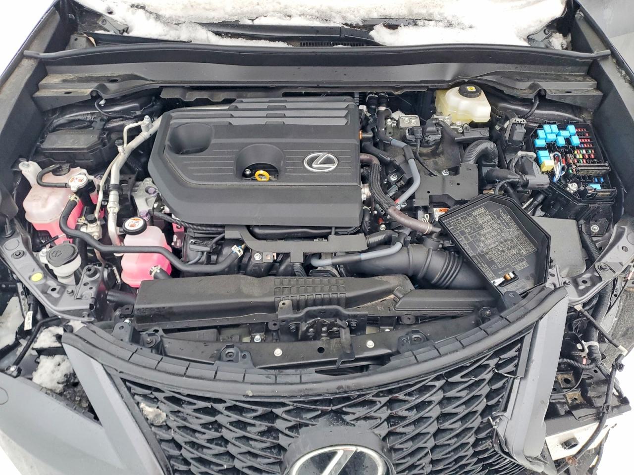 2025 LEXUS UX 300H BASE photo 12