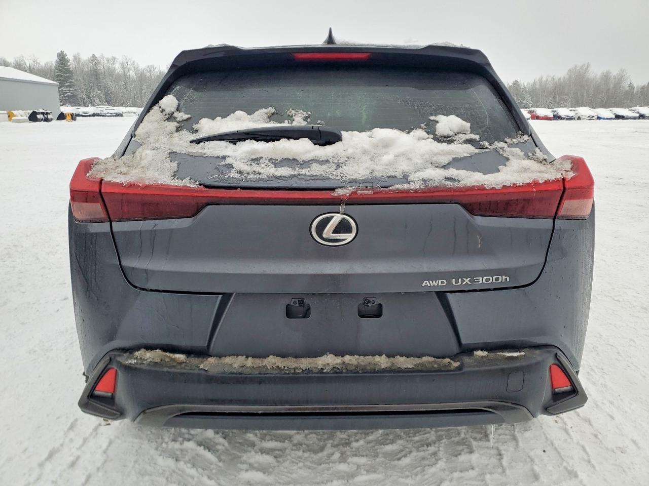 2025 LEXUS UX 300H BASE photo 6