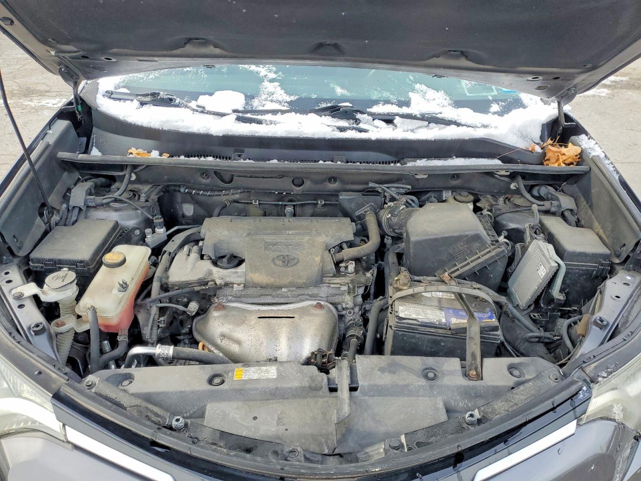 2017 TOYOTA RAV4 XLE photo 12