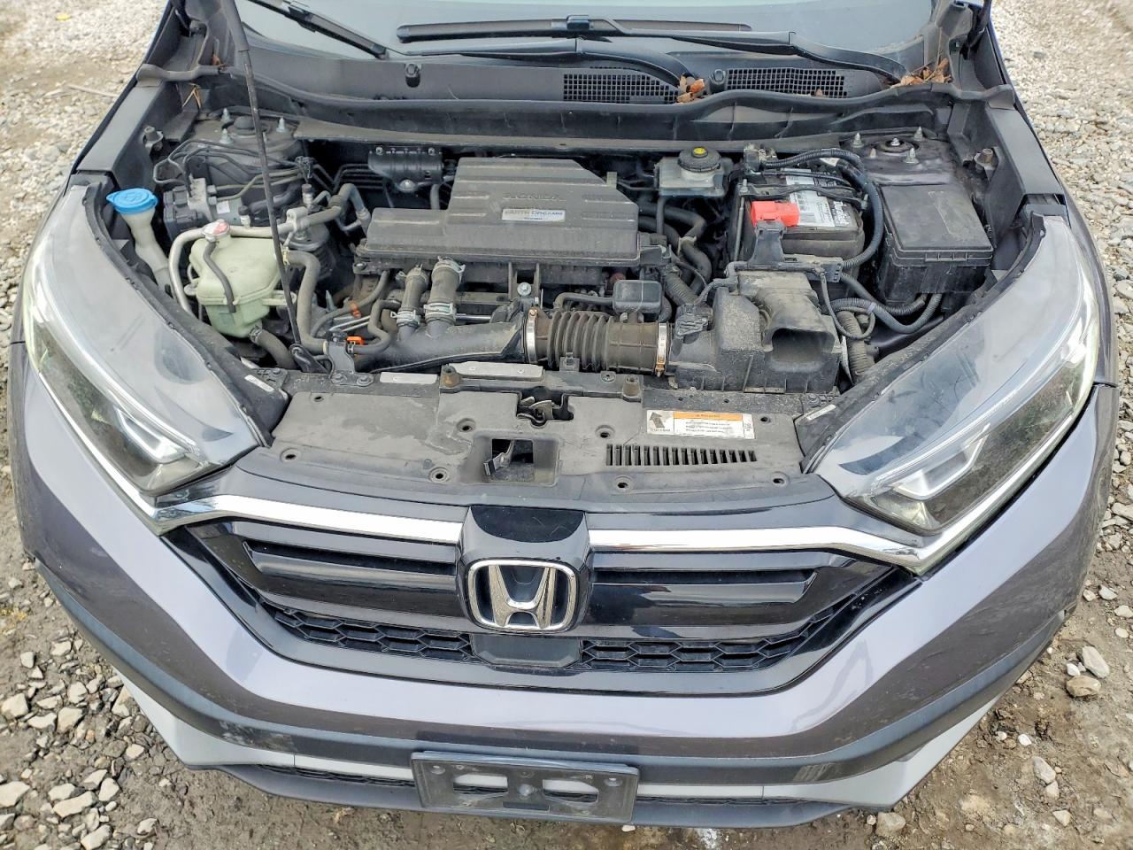 2020 HONDA CR-V LX photo 12