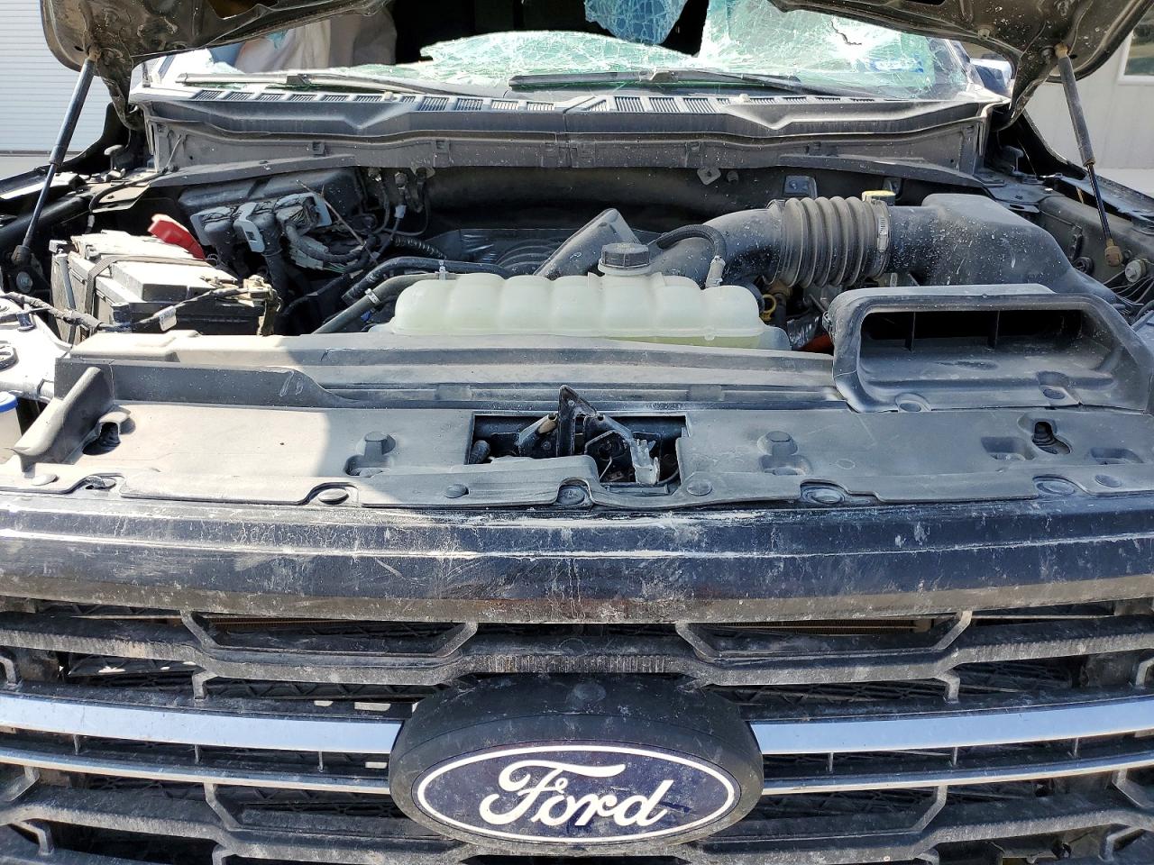 2024 FORD F150 XLT photo 31