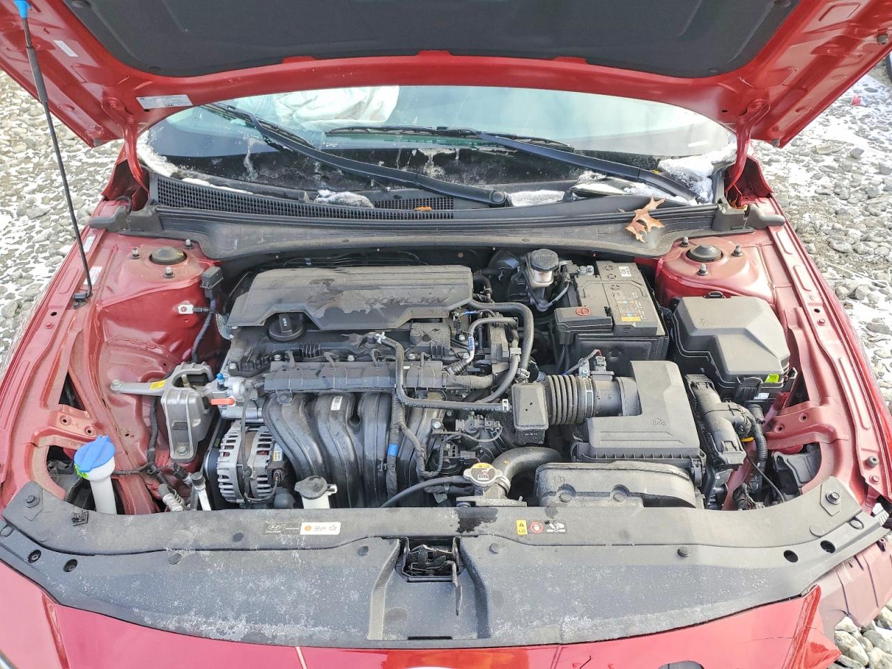 2024 HYUNDAI ELANTRA LIMITED photo 11