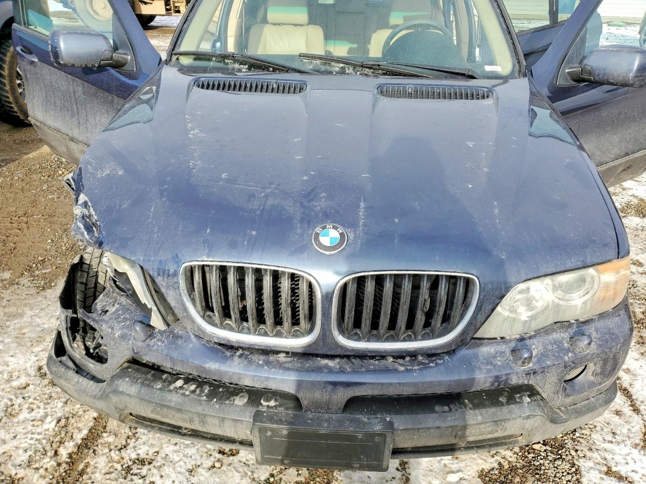2005 BMW X5 3.0I photo 21
