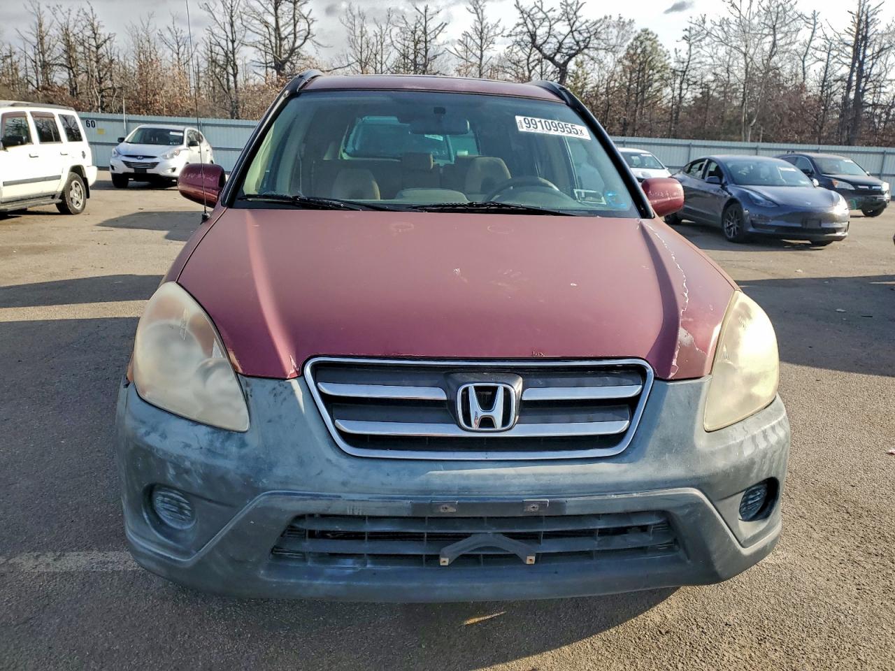 2005 HONDA CR-V EX photo 5