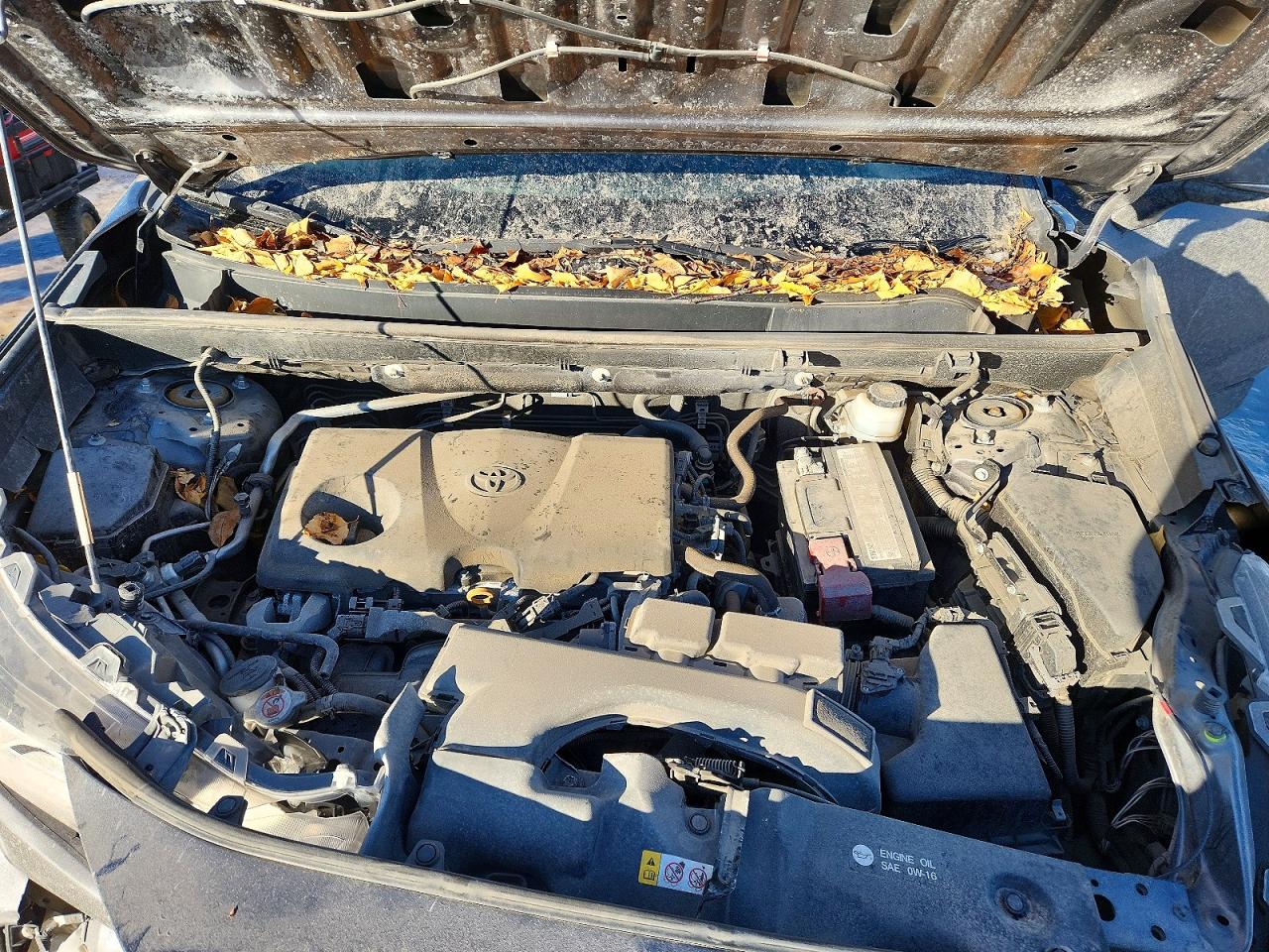 2019 TOYOTA RAV4 XLE photo 12