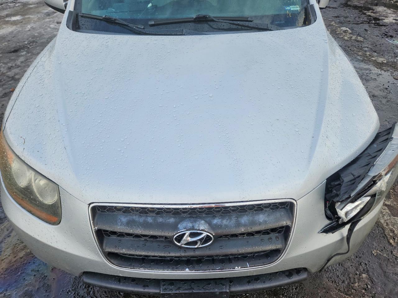 2007 HYUNDAI SANTA FE SE photo 12