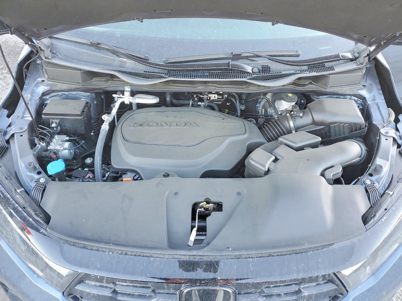 2025 HONDA ODYSSEY EXL photo 12