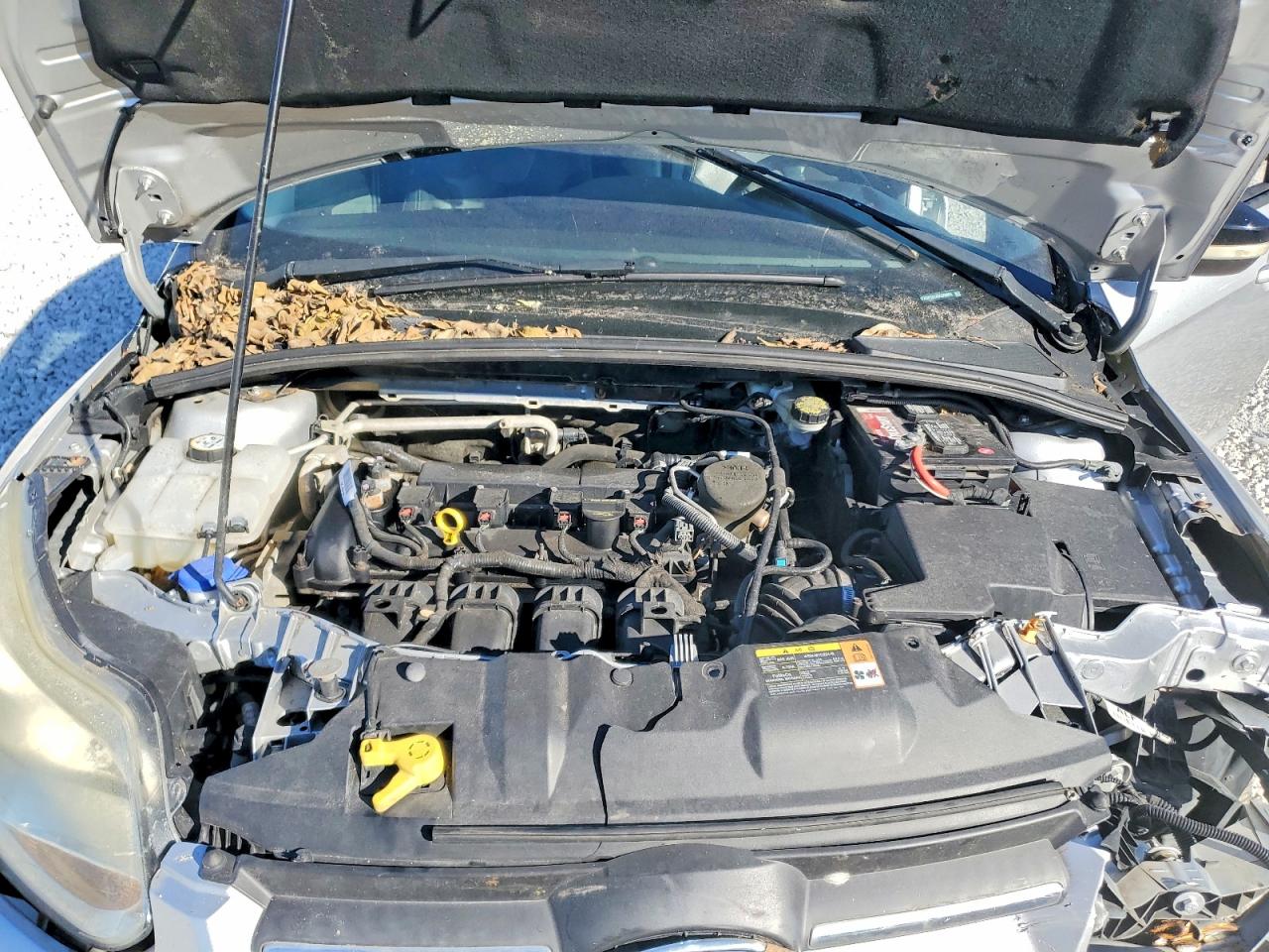 2013 FORD FOCUS SE photo 11