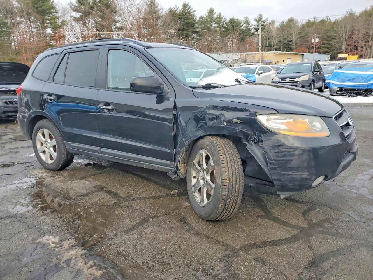 2009 HYUNDAI SANTA FE SE photo 7