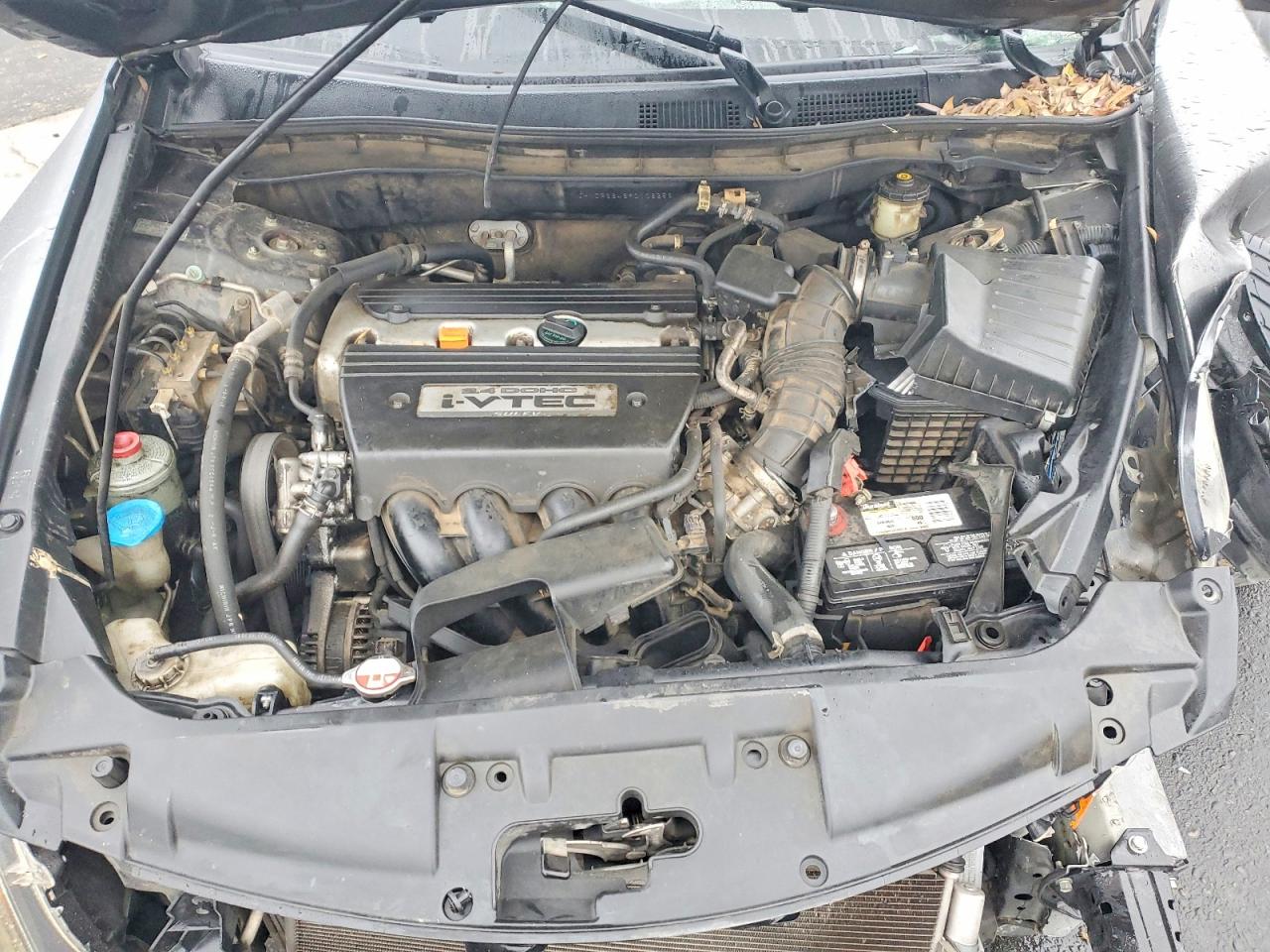2009 HONDA ACCORD LXP photo 11