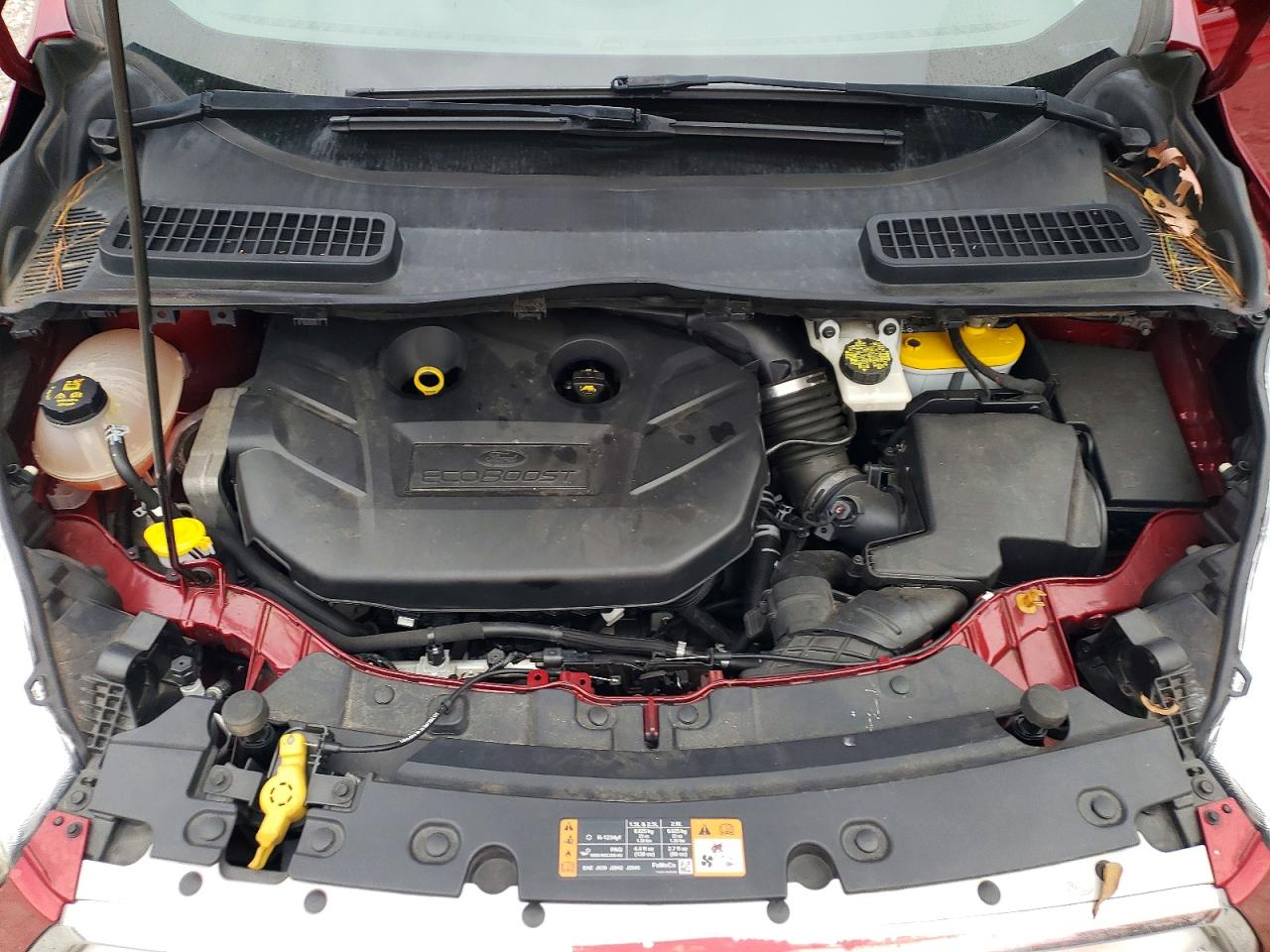 2019 FORD ESCAPE SE photo 12