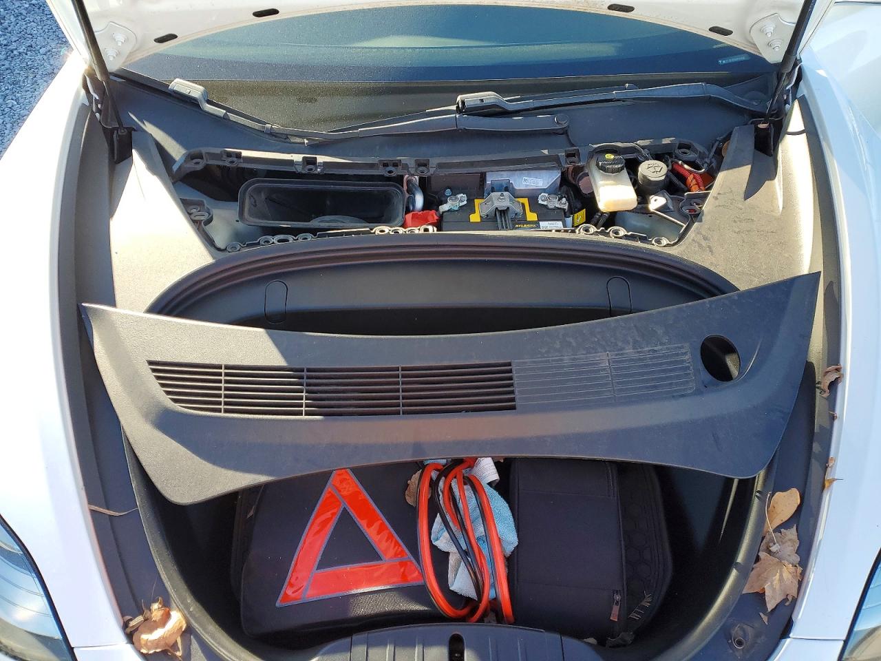 2019 TESLA MODEL 3 photo 11