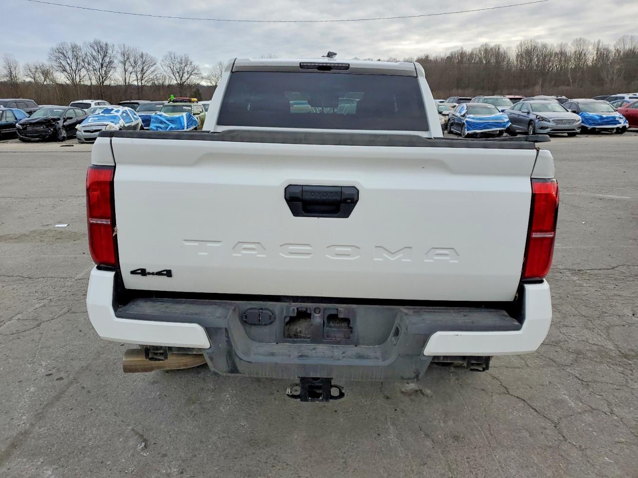 2025 TOYOTA TACOMA DOUBLE CAB photo 6