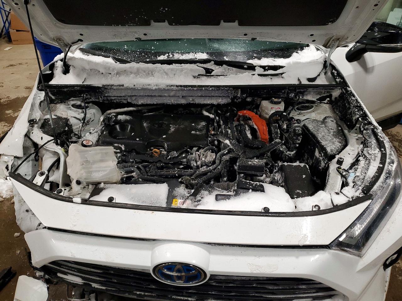2024 TOYOTA RAV4 XLE photo 23