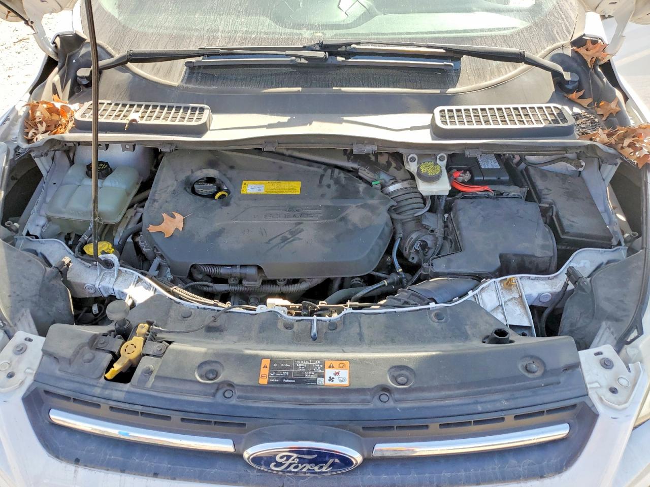 2016 FORD ESCAPE SE photo 11