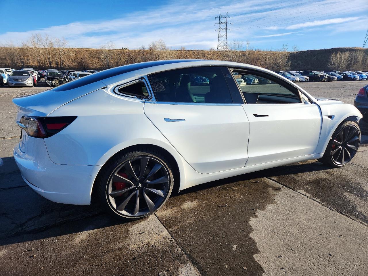 2020 TESLA MODEL 3 photo 3