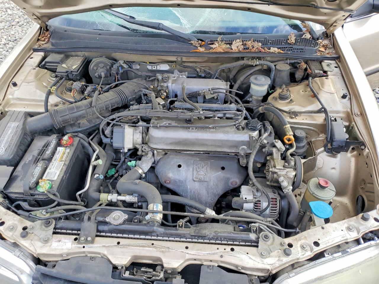 1994 HONDA ACCORD LX photo 11