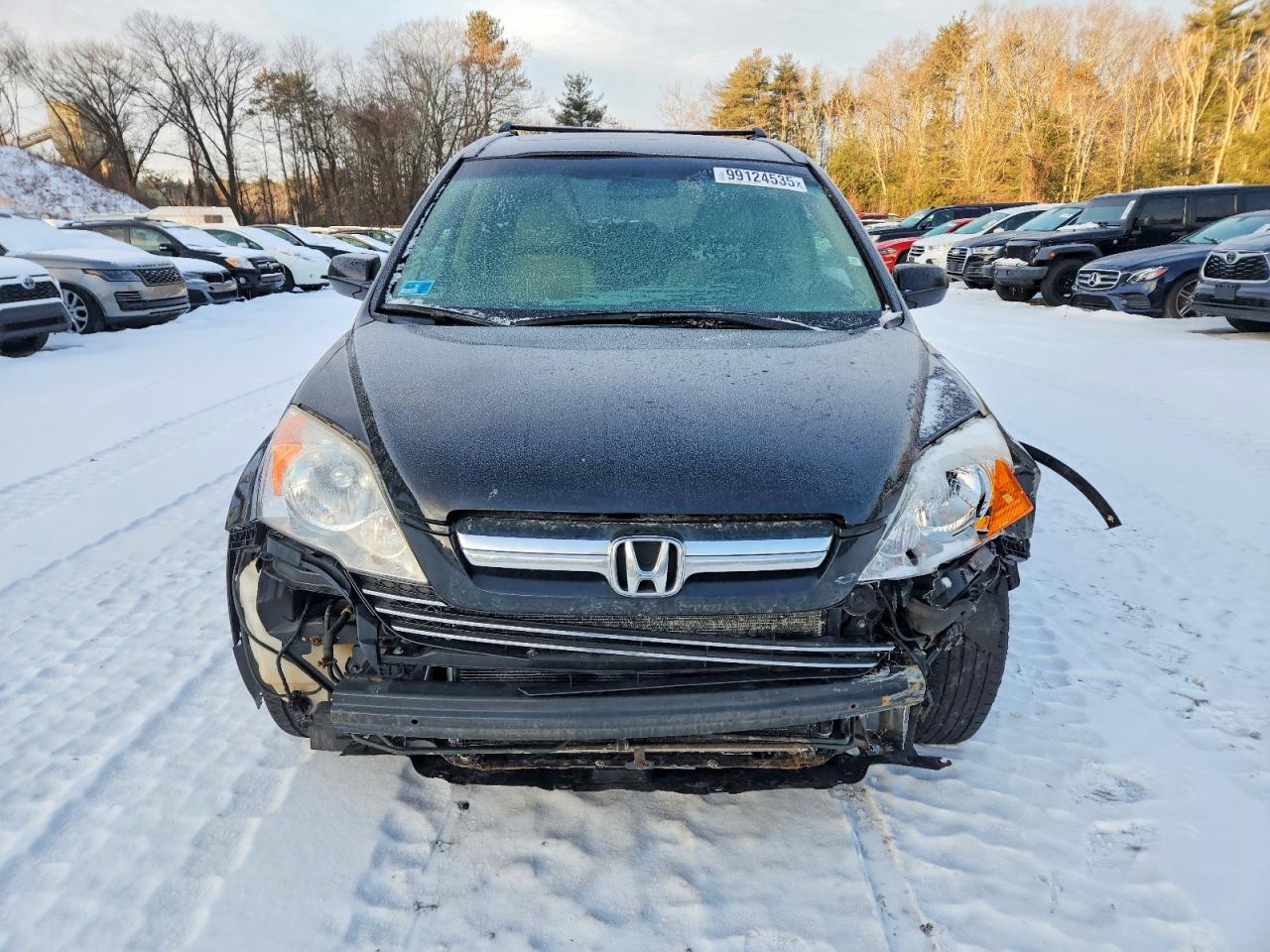 2007 HONDA CR-V EX photo 5