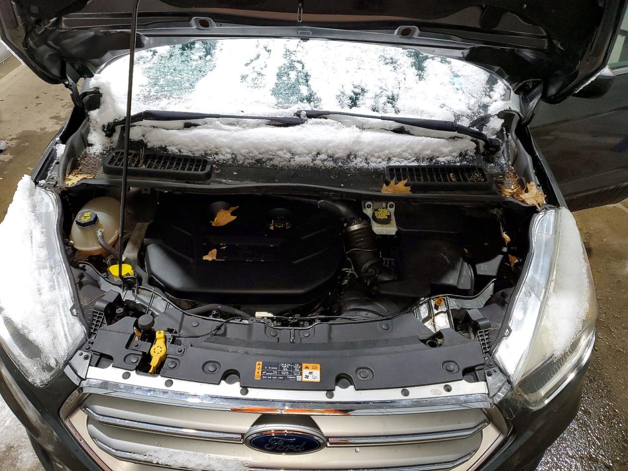 2017 FORD ESCAPE SE photo 23