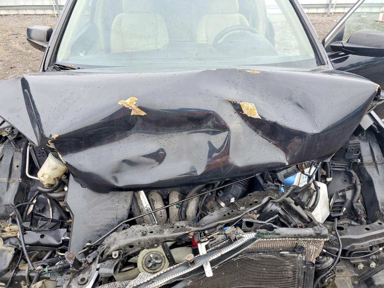 2007 HONDA CR-V EX photo 12