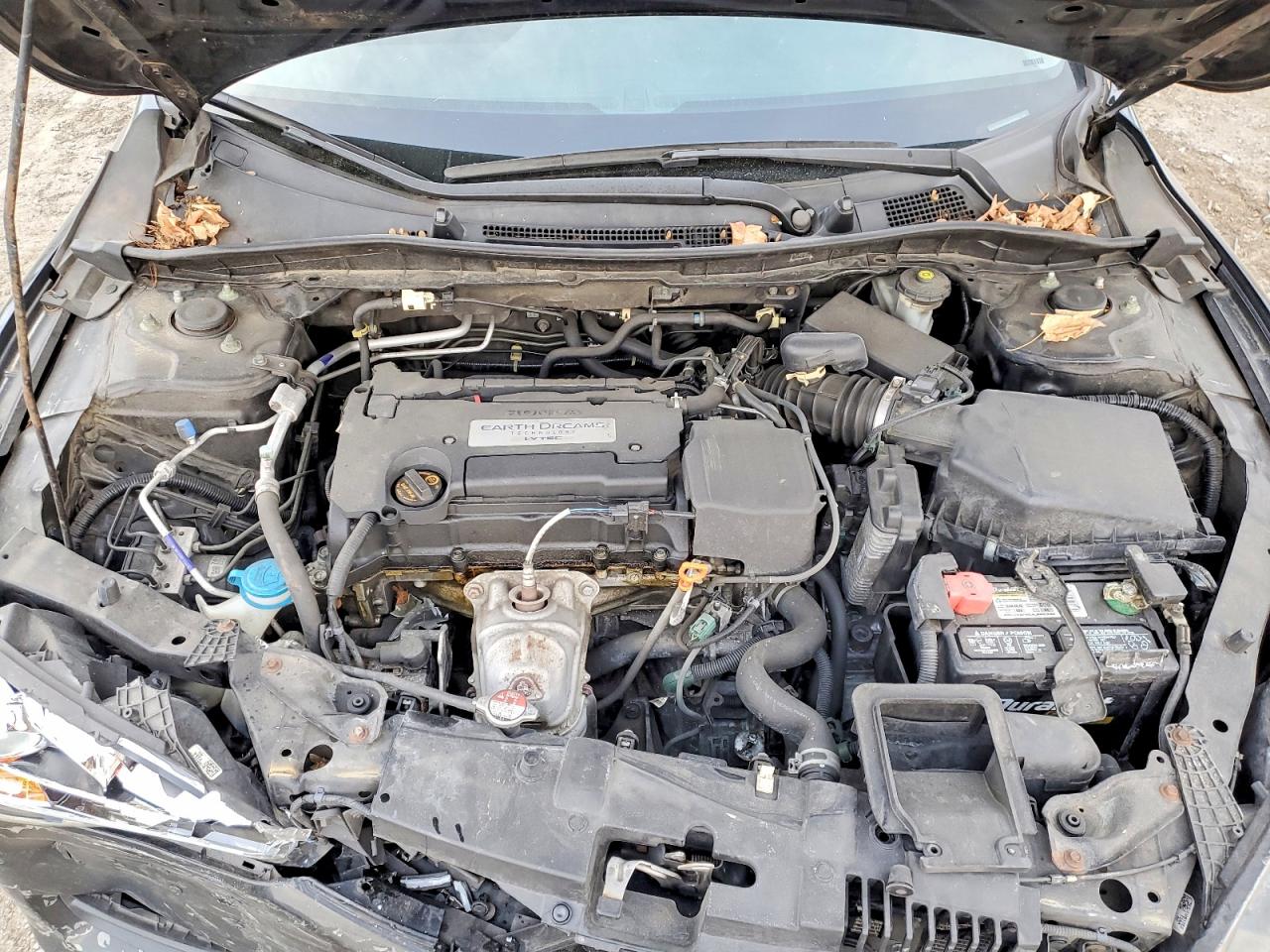2014 HONDA ACCORD LX photo 11