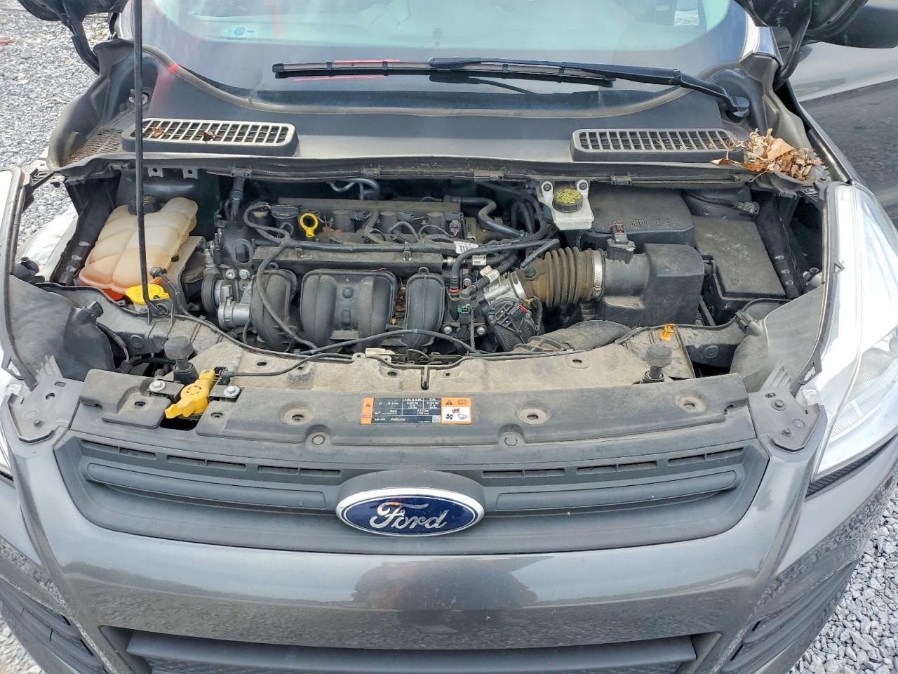 2016 FORD ESCAPE S photo 11