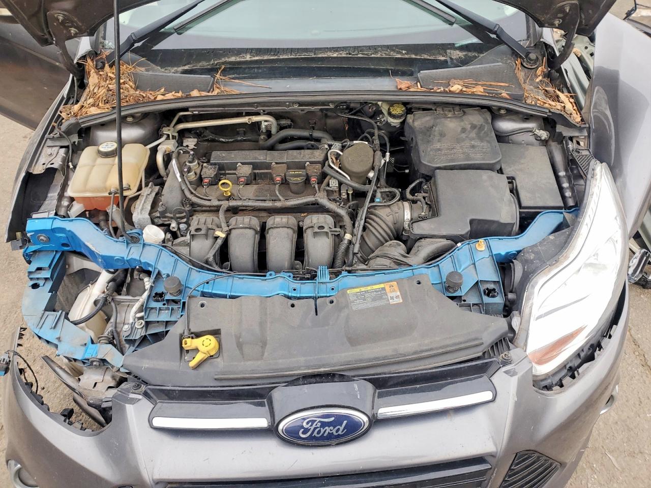 2013 FORD FOCUS SE photo 11