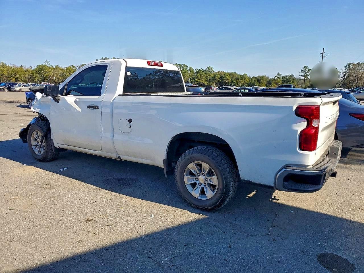 2020 CHEVROLET SILVERADO C1500 photo 2