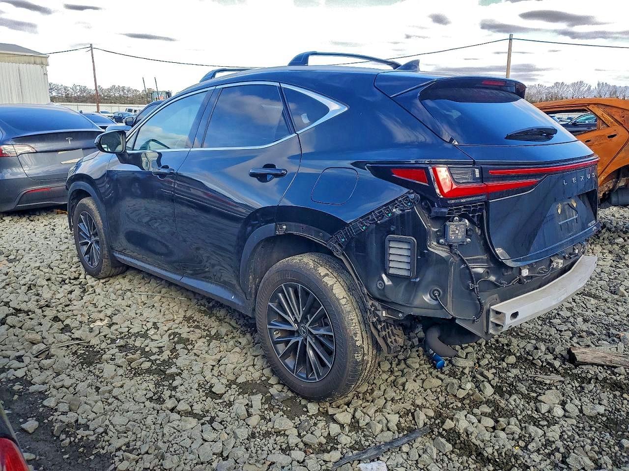 2022 LEXUS NX 350 photo 2