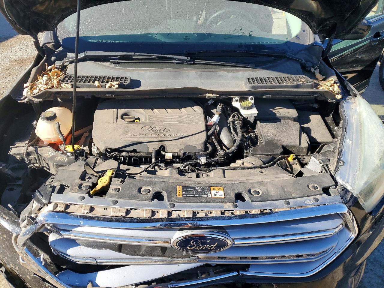 2017 FORD ESCAPE SE photo 11