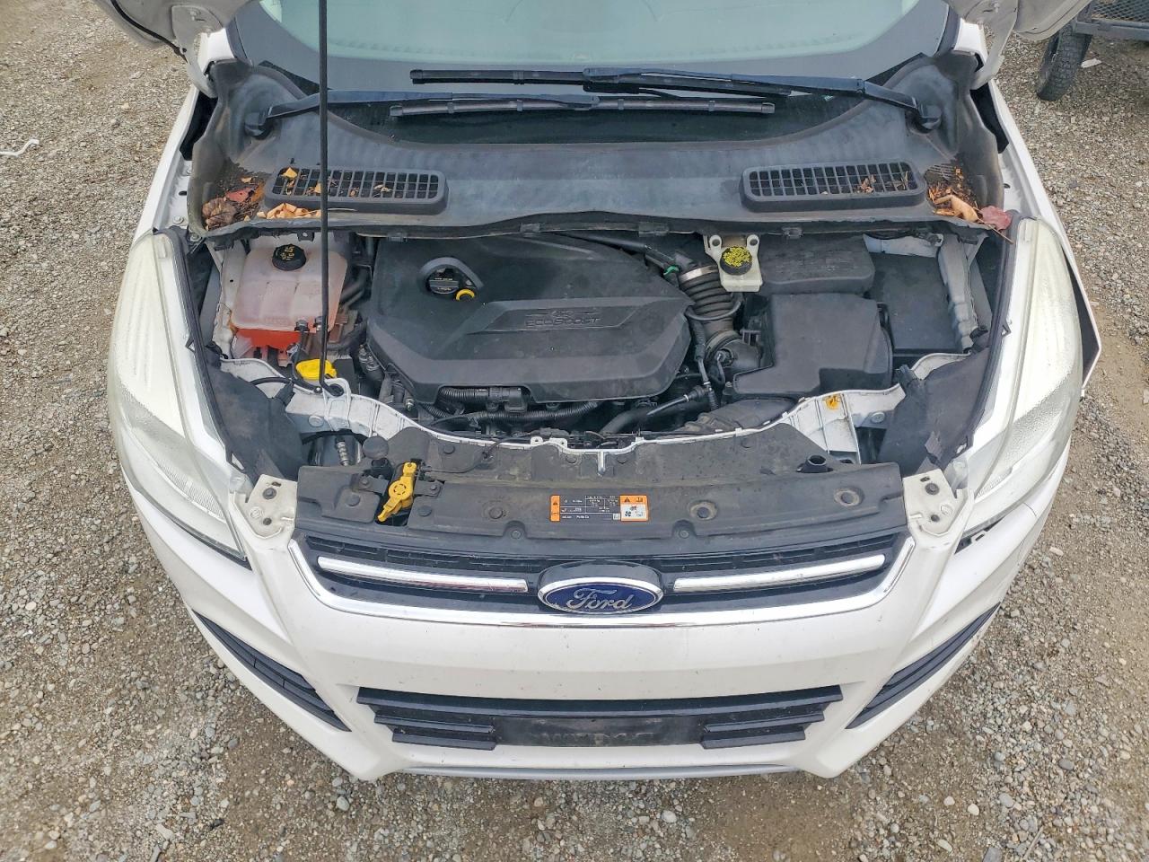 2014 FORD ESCAPE TITANIUM photo 11