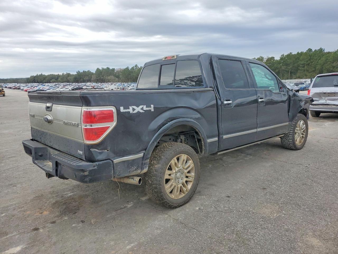 2010 FORD F150 SUPERCREW photo 3