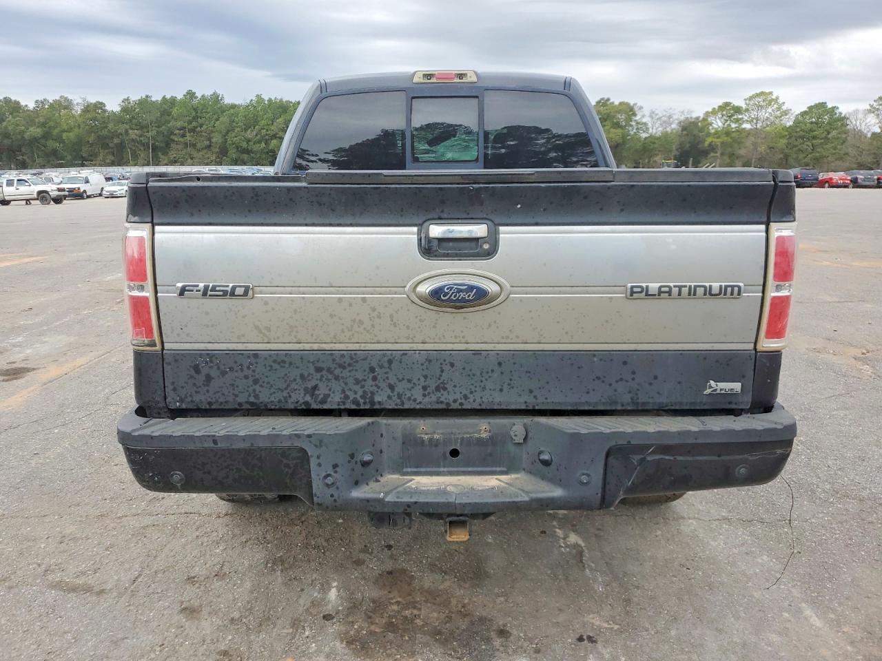 2010 FORD F150 SUPERCREW photo 6