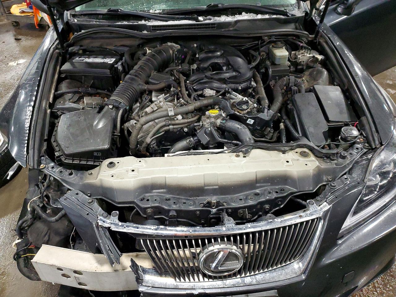 2006 LEXUS IS 350 photo 11