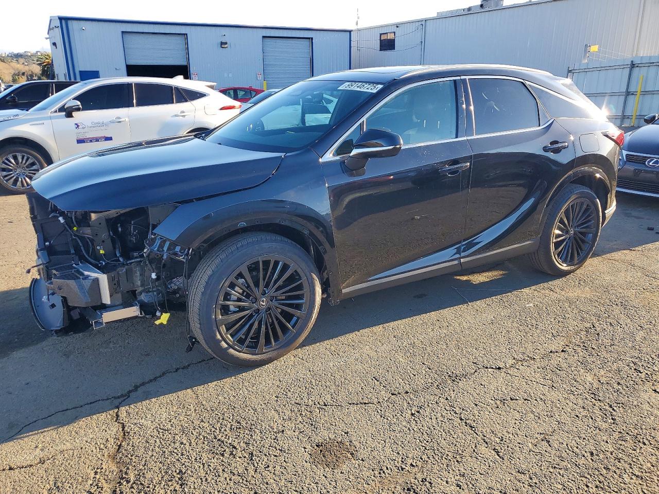 2025 LEXUS RX